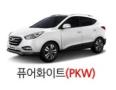 현대 2013 뉴 투싼IX 퓨어화이트(색상코드 PKW) 색상 차량 이미지