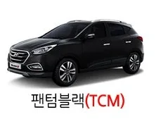 현대 2013 뉴 투싼IX 팬텀블랙(색상코드 TCM) 색상 차량 이미지